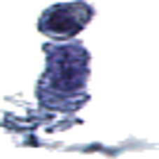 EM Mitochondira Image